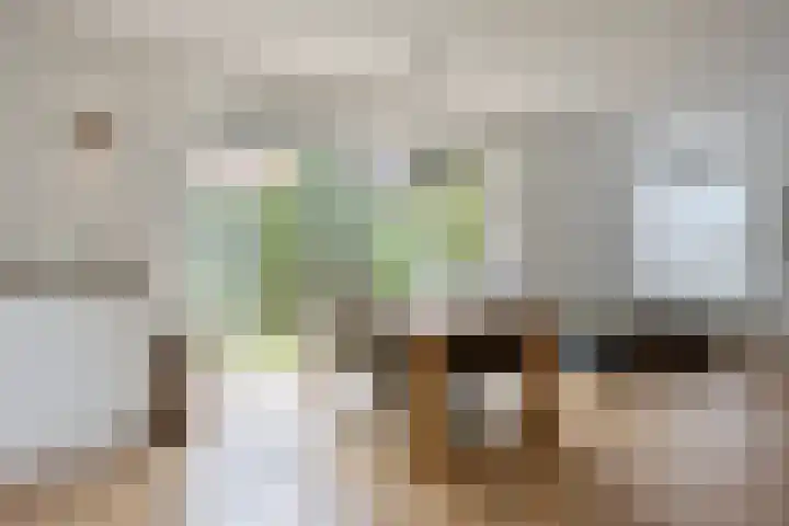 De Rozenhaag 6 Zutphen thumbnail 15