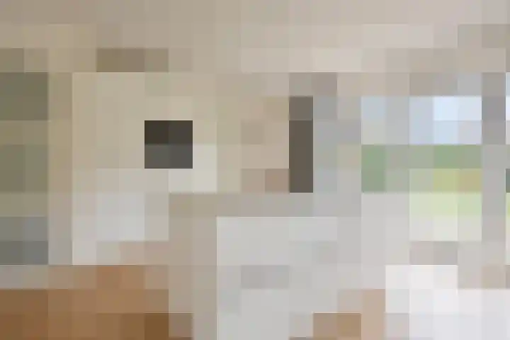 De Rozenhaag 6 Zutphen thumbnail 17