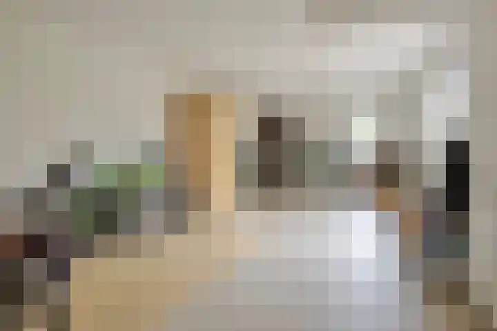 De Rozenhaag 6 Zutphen thumbnail 22