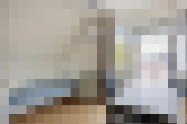 De Rozenhaag 6 Zutphen thumbnail 31