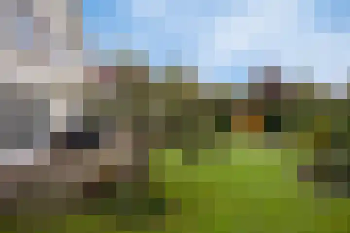 De Rozenhaag 6 Zutphen thumbnail 38