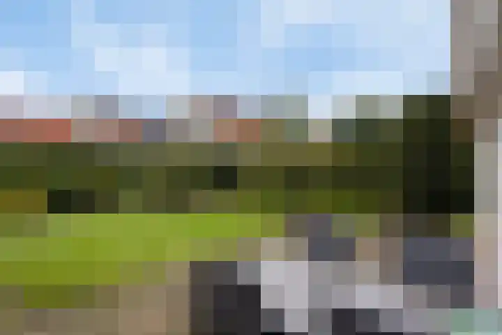 De Rozenhaag 6 Zutphen thumbnail 39