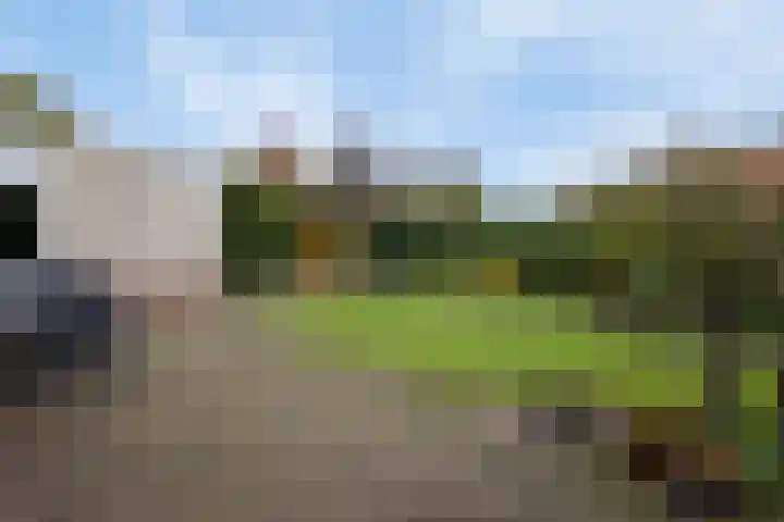De Rozenhaag 6 Zutphen thumbnail 40