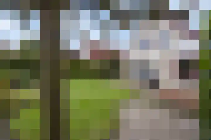 De Rozenhaag 6 Zutphen thumbnail 42