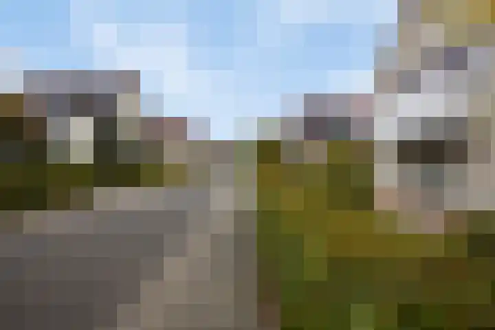 De Rozenhaag 6 Zutphen thumbnail 46
