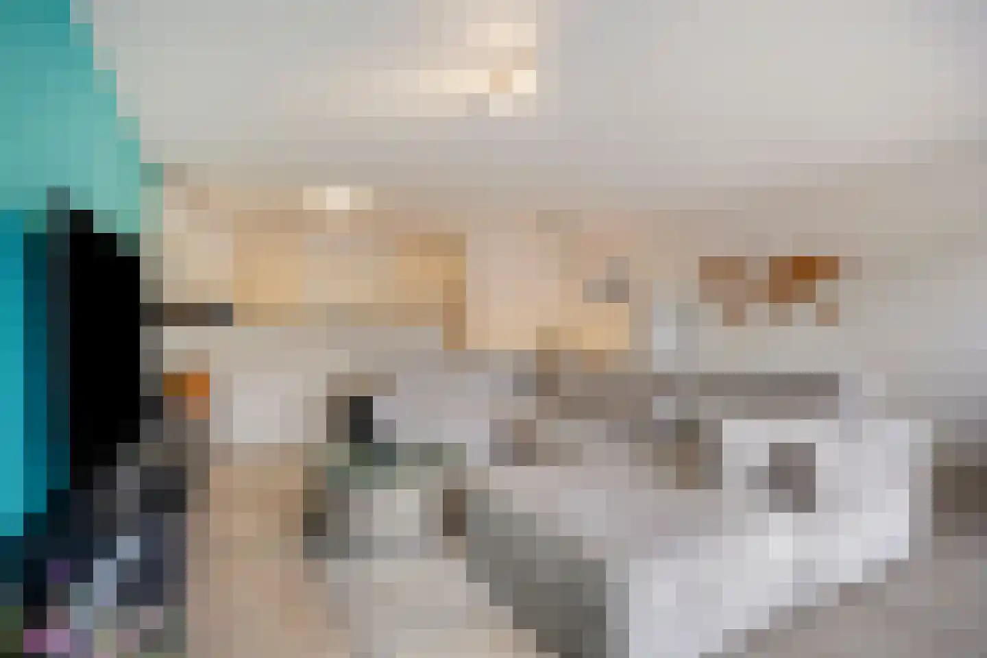 De Rozentuin 15 Eindhoven thumbnail 13