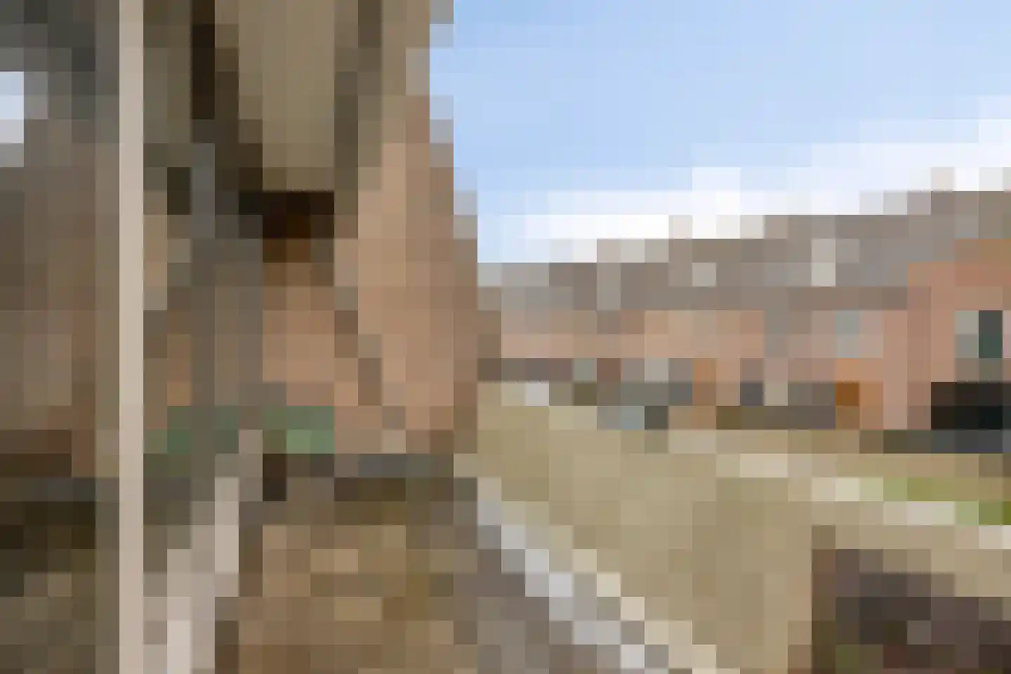 De Rozentuin 15 Eindhoven thumbnail 20