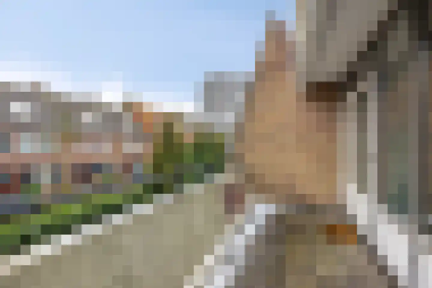 De Rozentuin 15 Eindhoven thumbnail 21