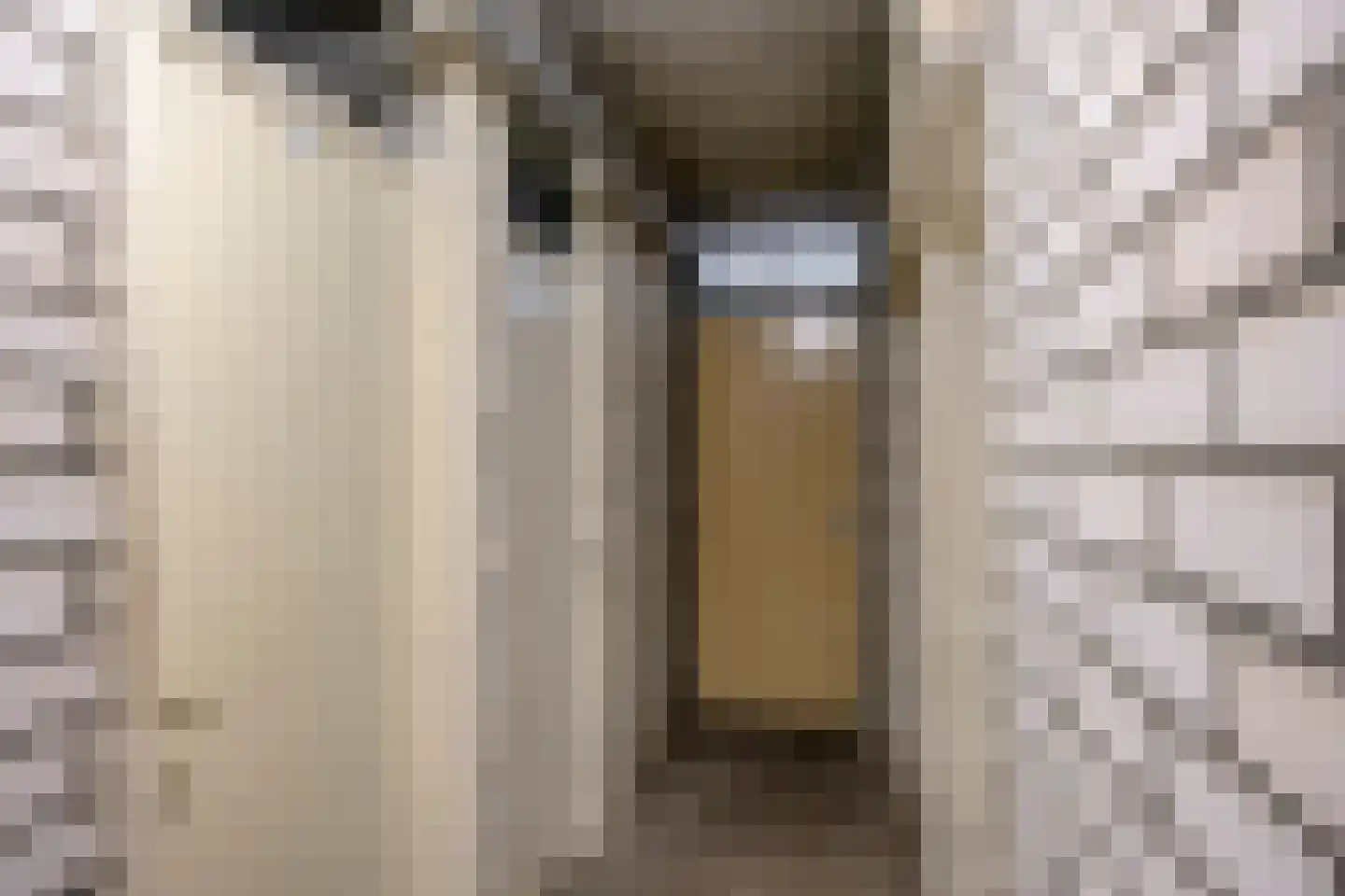 De Rozentuin 15 Eindhoven thumbnail 31