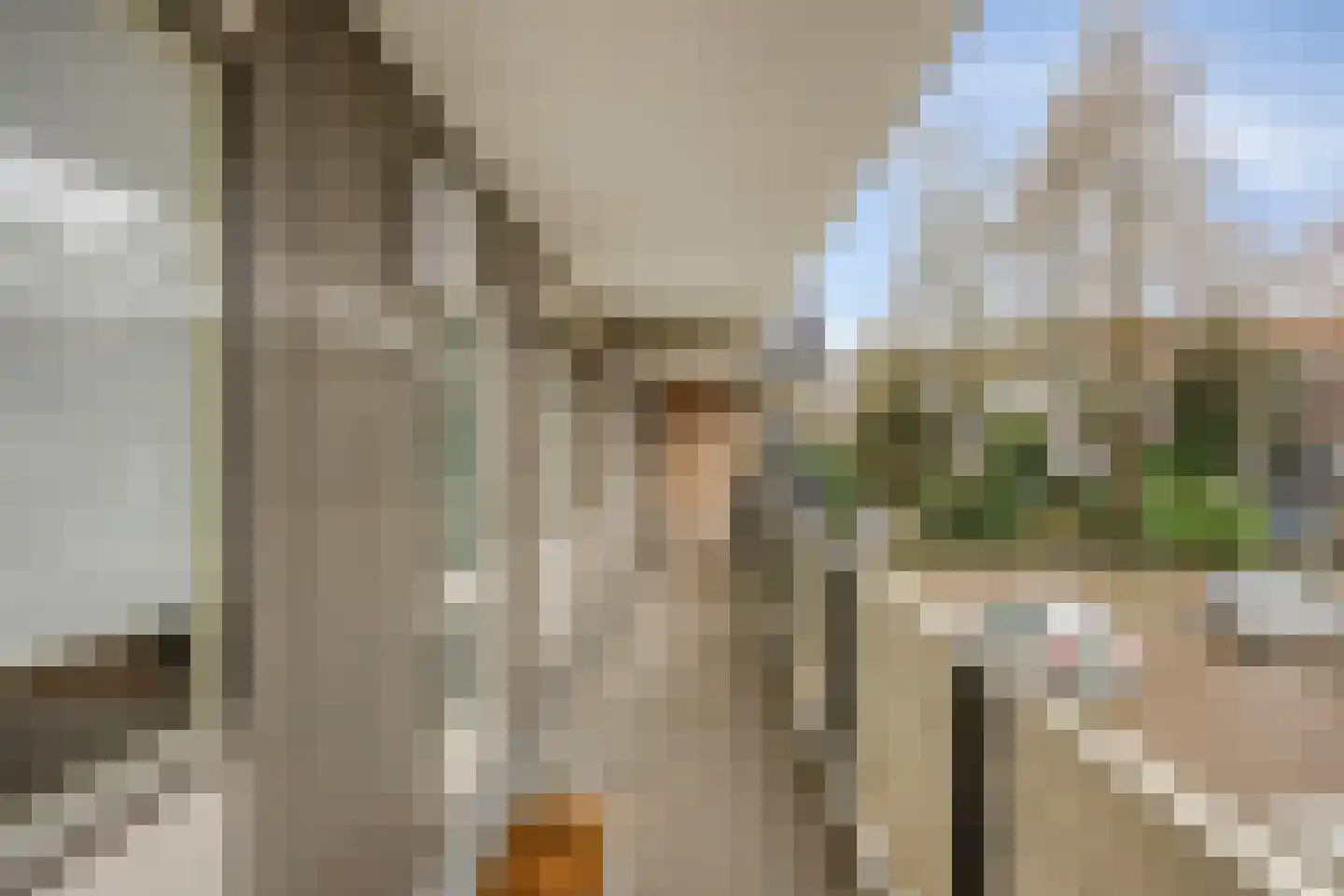 De Rozentuin 15 Eindhoven thumbnail 7