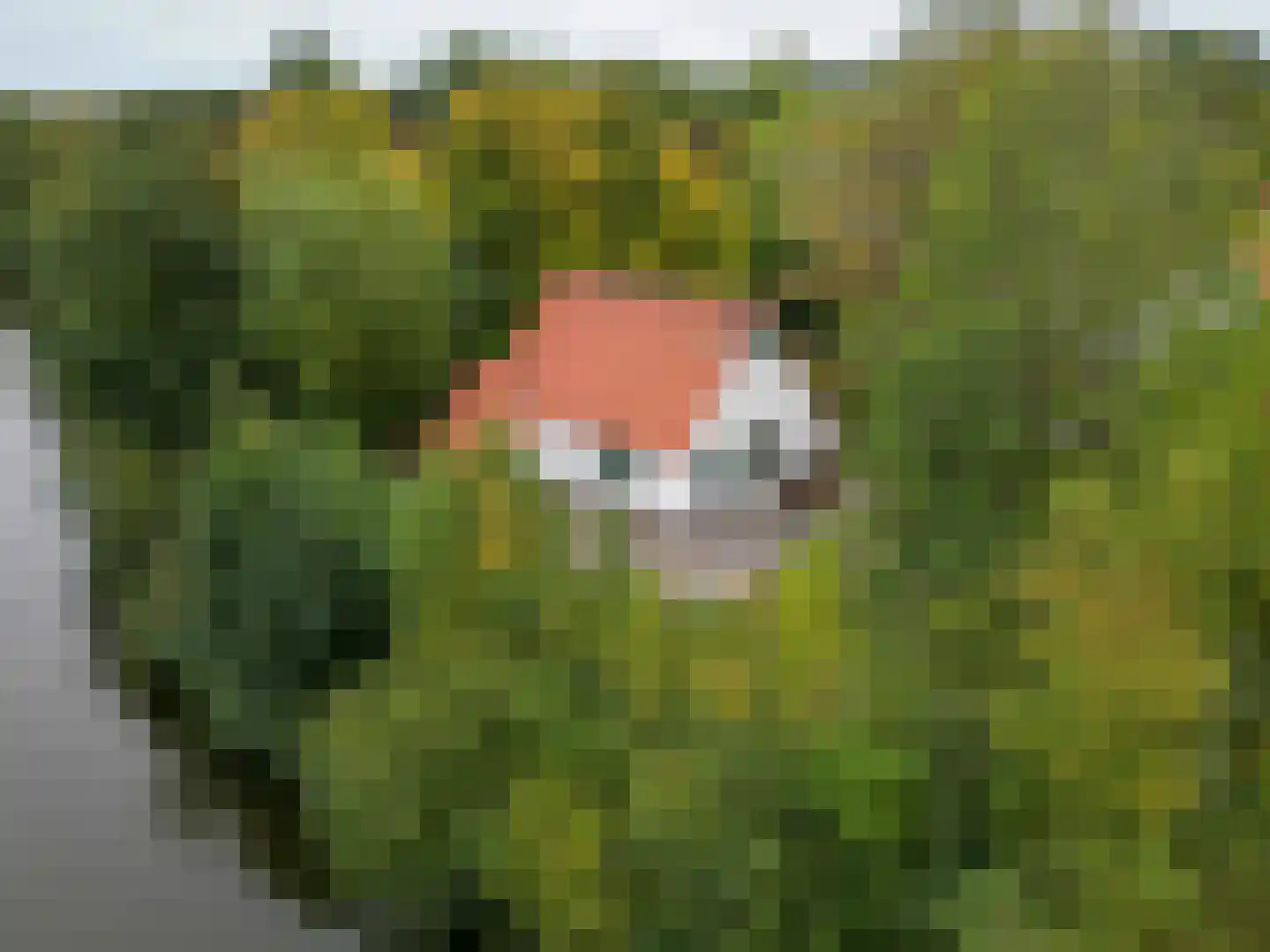 De Rug 3 69 Lauwersoog