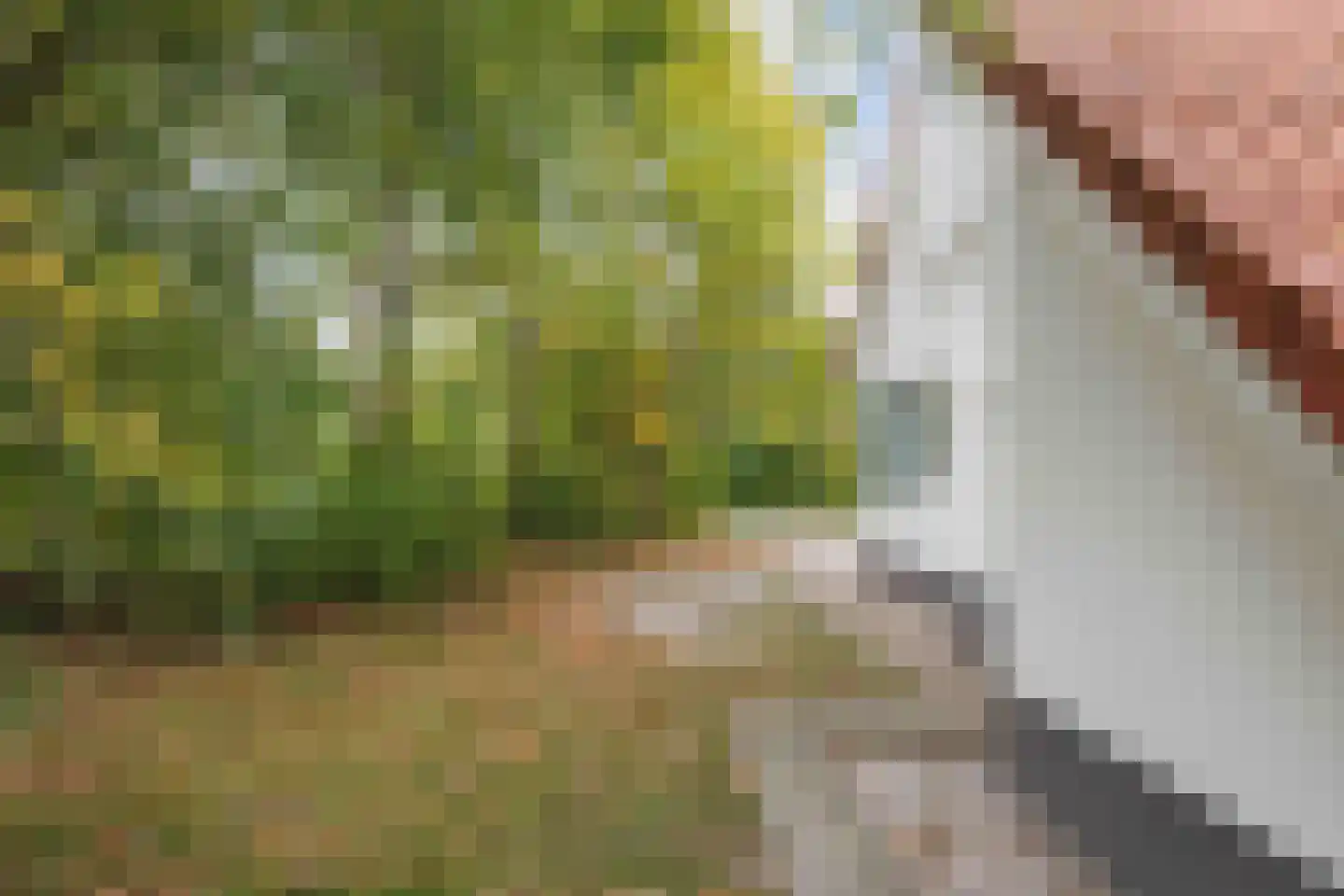 De Rug 3 69 Lauwersoog thumbnail 21