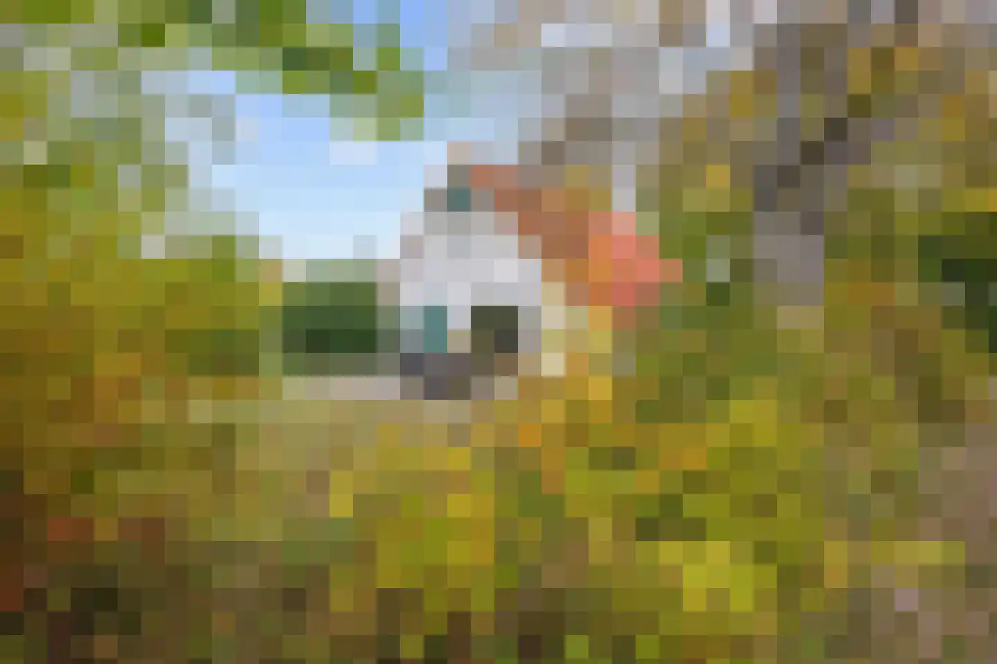 De Rug 3 69 Lauwersoog thumbnail 24