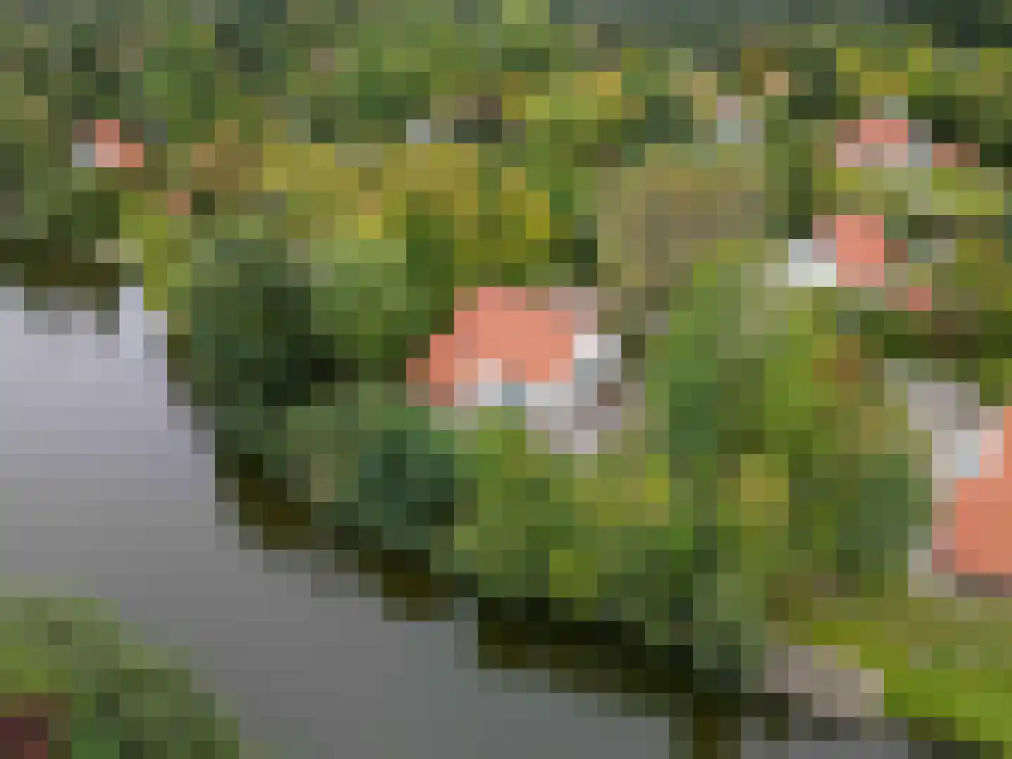 De Rug 3 69 Lauwersoog thumbnail 26