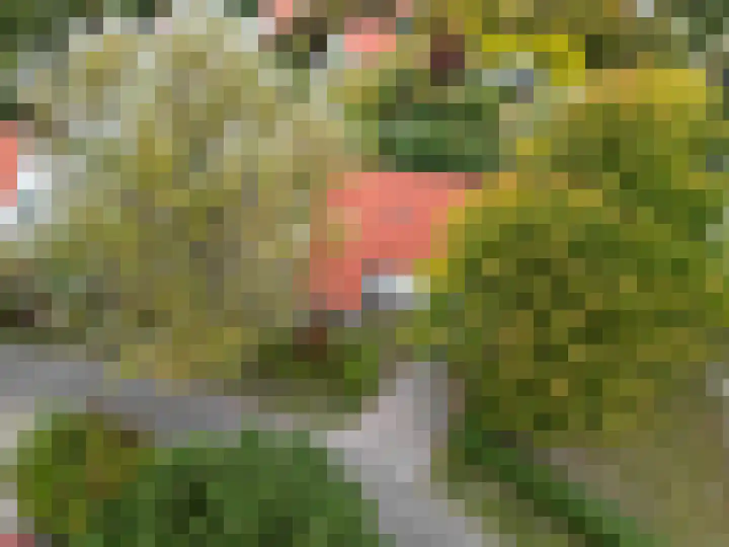 De Rug 3 69 Lauwersoog thumbnail 27