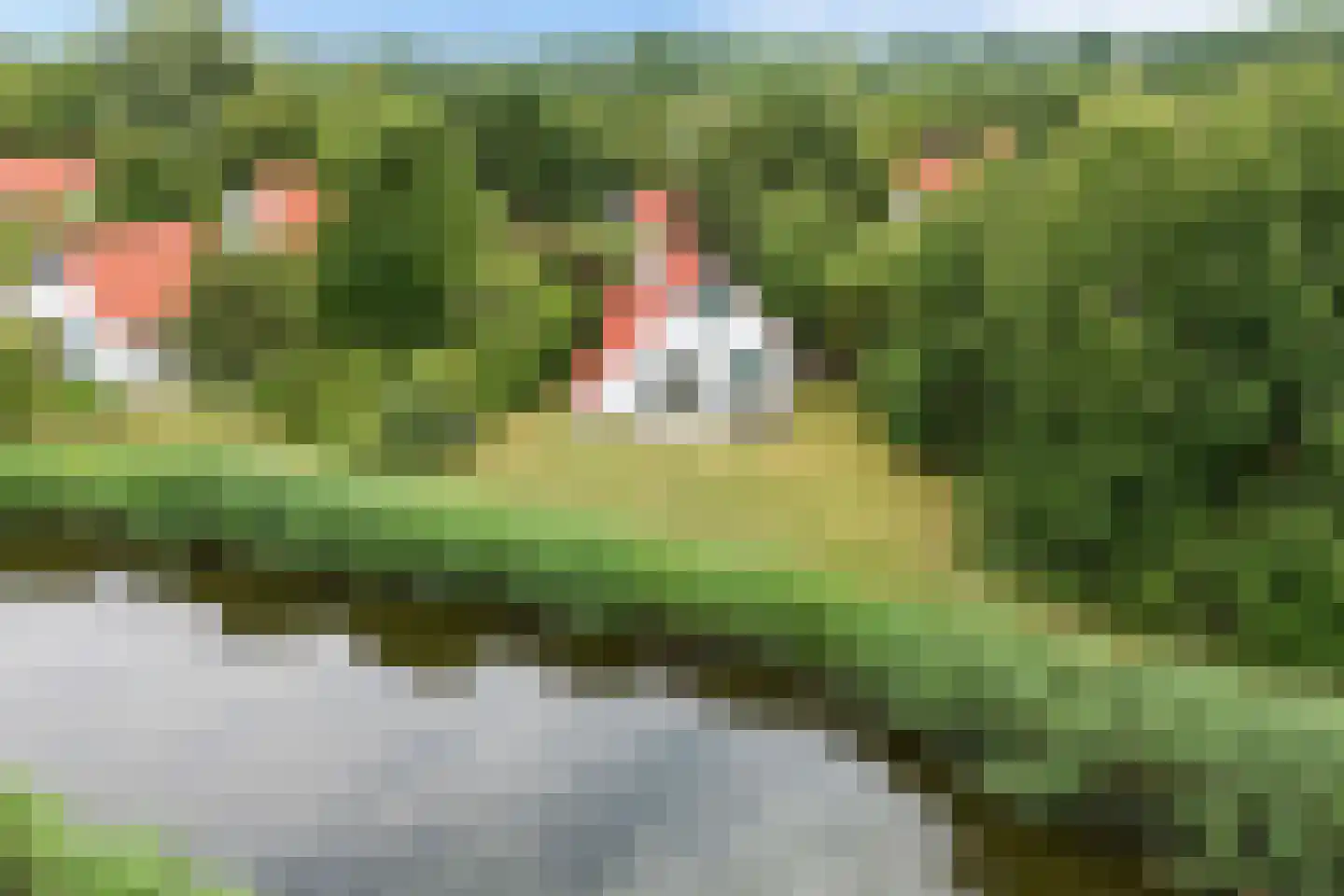 De Rug 3 81 in Lauwersoog