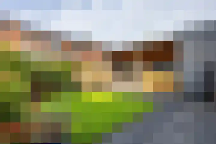 de Ruijterkade 25 Wormerveer thumbnail 10