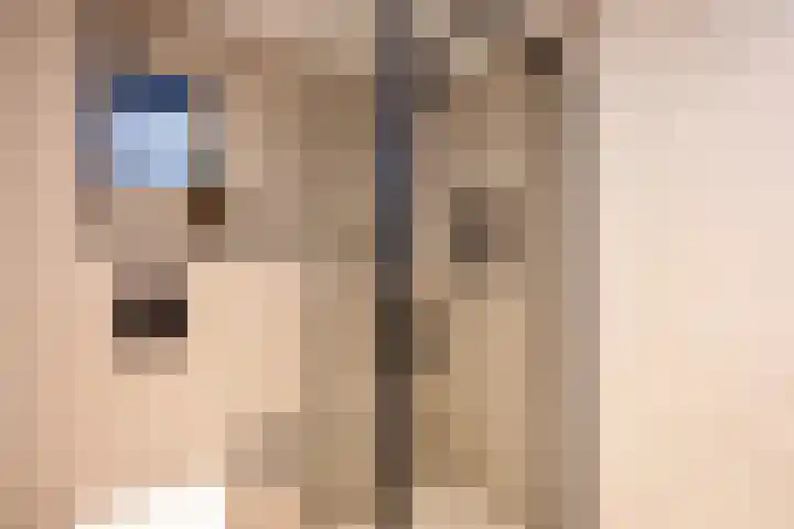 de Ruijterkade 30 Wormerveer thumbnail 22