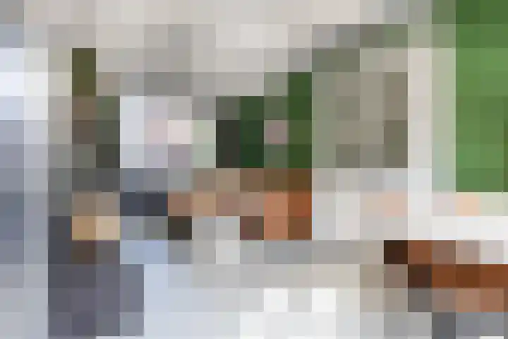 de Ruijterkade 30 Wormerveer thumbnail 7
