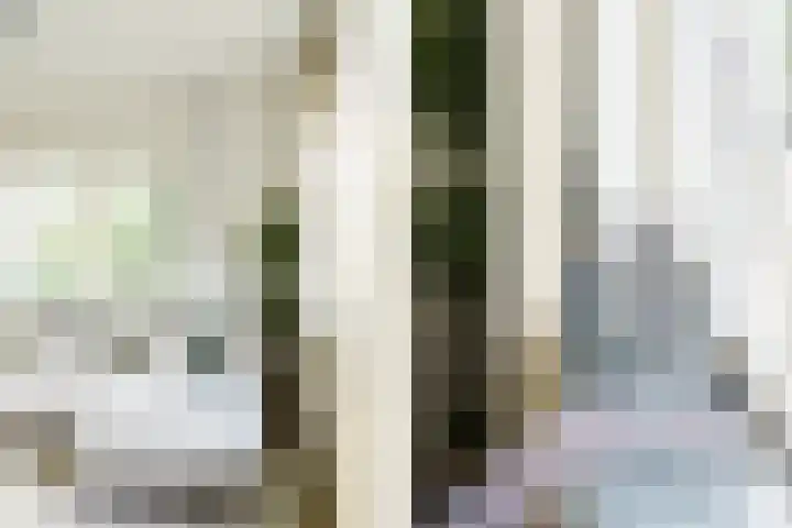 De Ruijterweg 3 Haarlem thumbnail 10