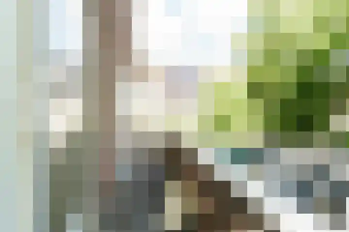 De Ruijterweg 3 Haarlem thumbnail 17