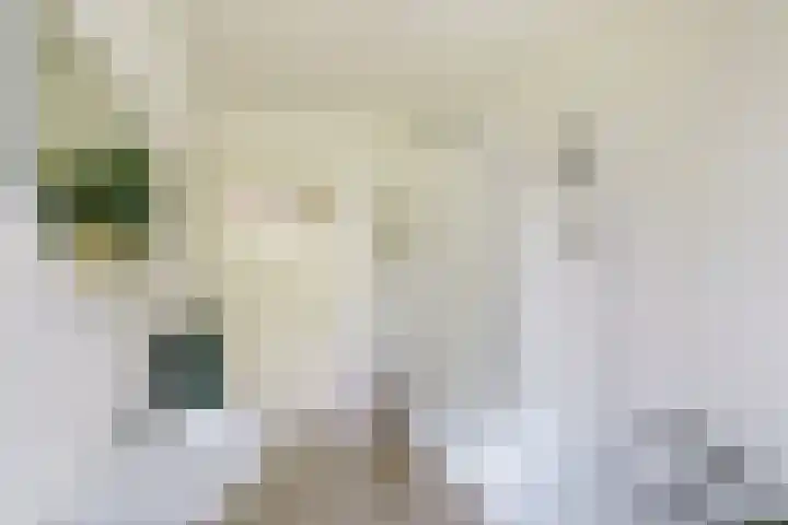 De Ruijterweg 3 Haarlem thumbnail 29