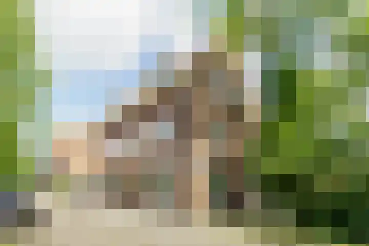 De Ruijterweg 3 Haarlem thumbnail 6