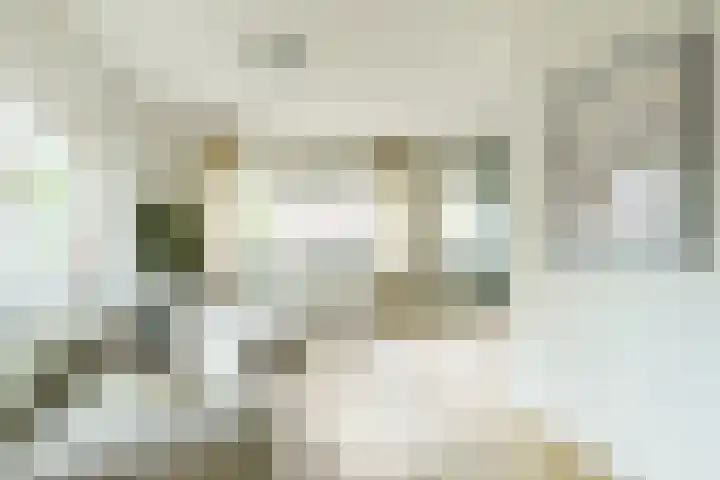 De Ruijterweg 3 Haarlem thumbnail 8