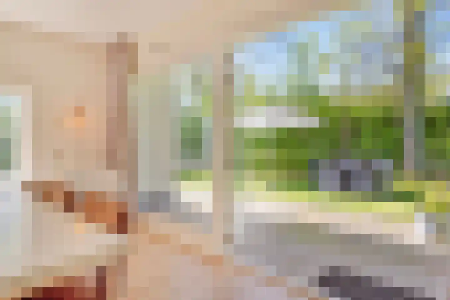 de Ruiser 28 Biggekerke thumbnail 22