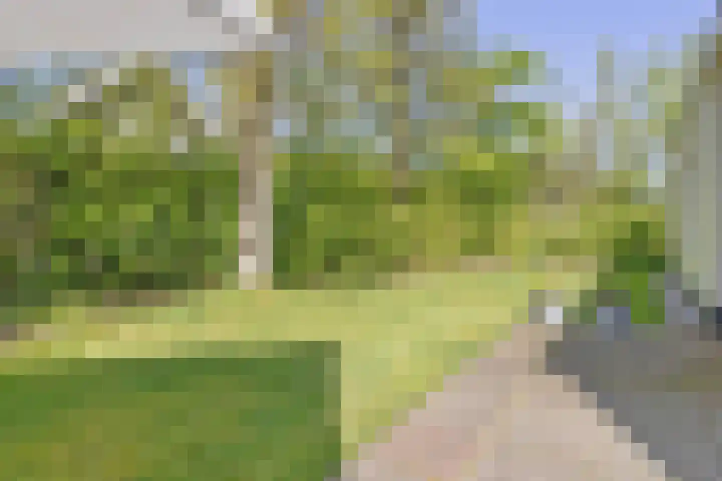de Ruiser 28 Biggekerke thumbnail 25