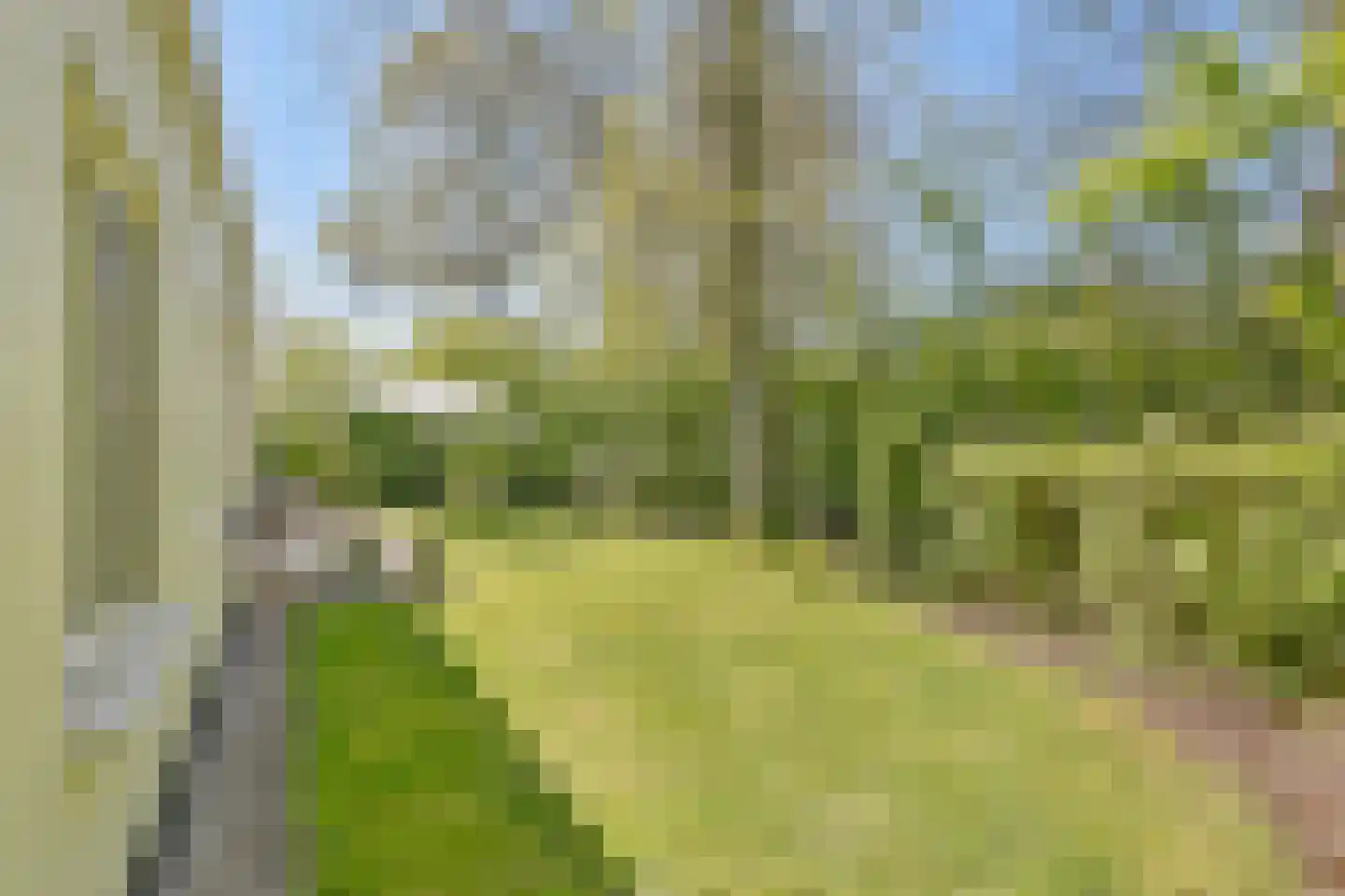 de Ruiser 28 Biggekerke thumbnail 27