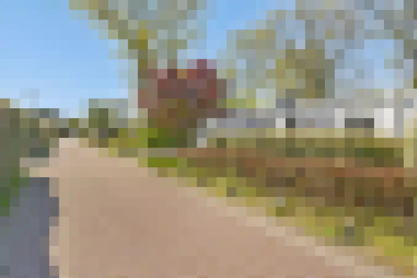 de Ruiser 28 Biggekerke thumbnail 5