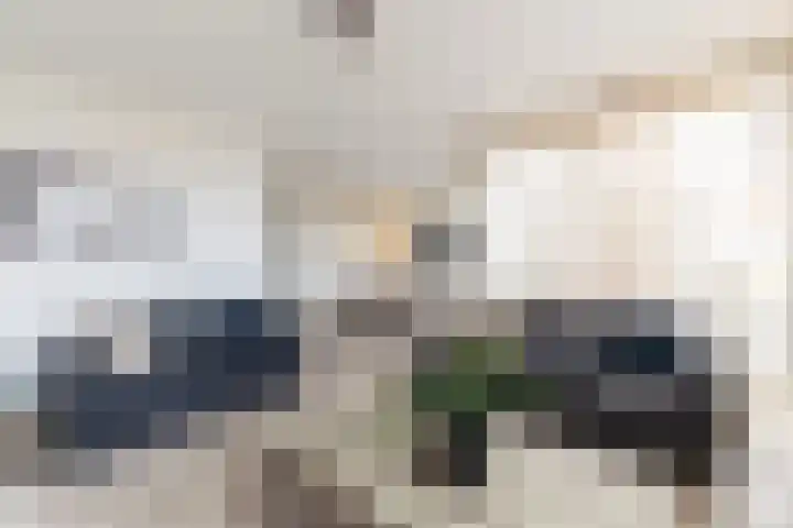 de Ruy 98 Oostvoorne thumbnail 14