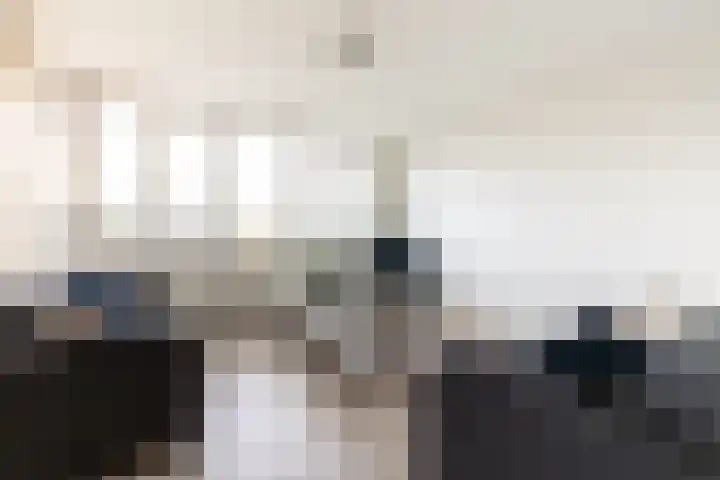 de Ruy 98 Oostvoorne thumbnail 15