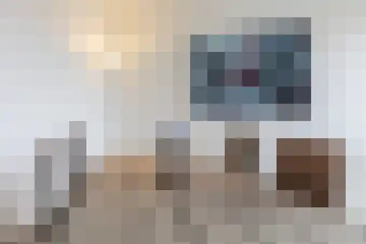 de Ruy 98 Oostvoorne thumbnail 19