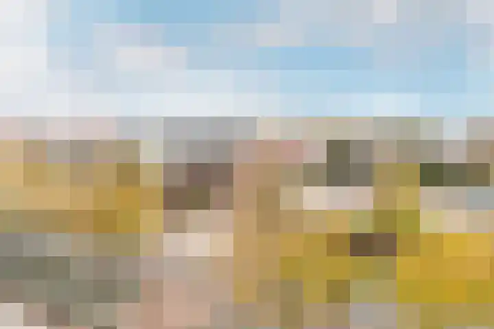 de Ruy 98 Oostvoorne thumbnail 21