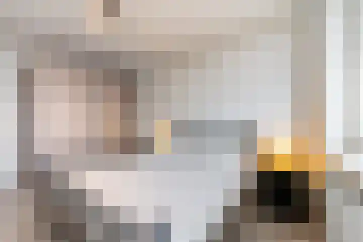 de Ruy 98 Oostvoorne thumbnail 27