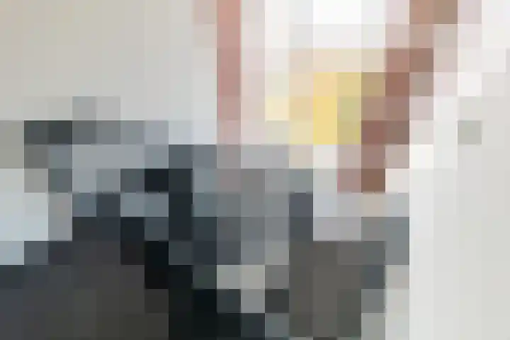 de Ruy 98 Oostvoorne thumbnail 33