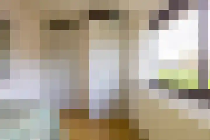 de Ruyterstraat 10 Weurt thumbnail 20
