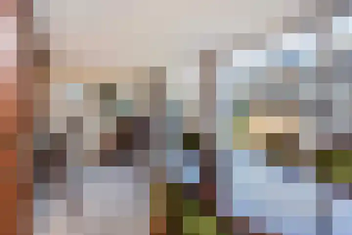 De Ruyterstraat 20 De Meern thumbnail 8