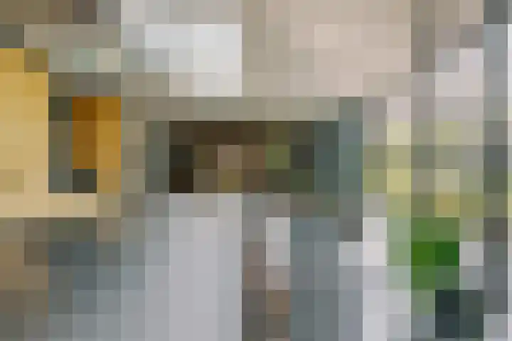 De Ruyterstraat 9 Huizen thumbnail 11