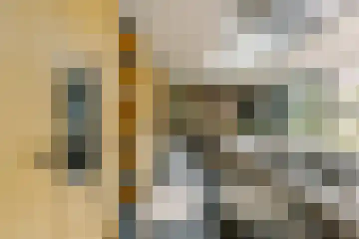 De Ruyterstraat 9 Huizen thumbnail 12