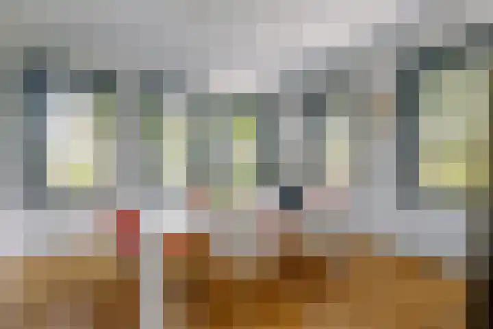 De Ruyterstraat 9 Huizen thumbnail 25