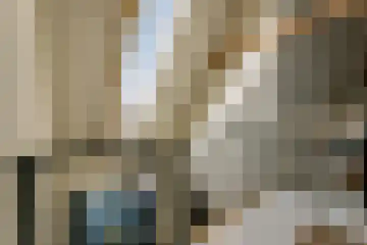 De Ruyterstraat 9 Huizen thumbnail 33