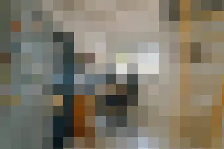De Ruyterstraat 9 Huizen thumbnail 54