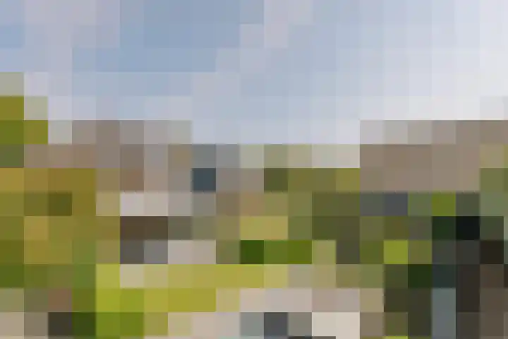 De Ruyterstraat 9 Huizen thumbnail 64