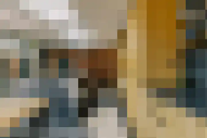De Ruyterstraat 9 Huizen thumbnail 9