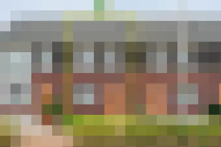 De Ryge 14 in Nijeveen