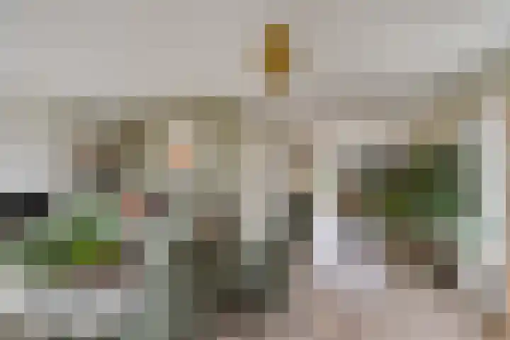 De Sallandse Roe 14 Dronten thumbnail 13