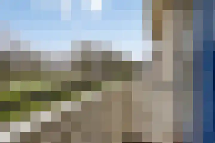 De Sallandse Roe 14 Dronten thumbnail 26